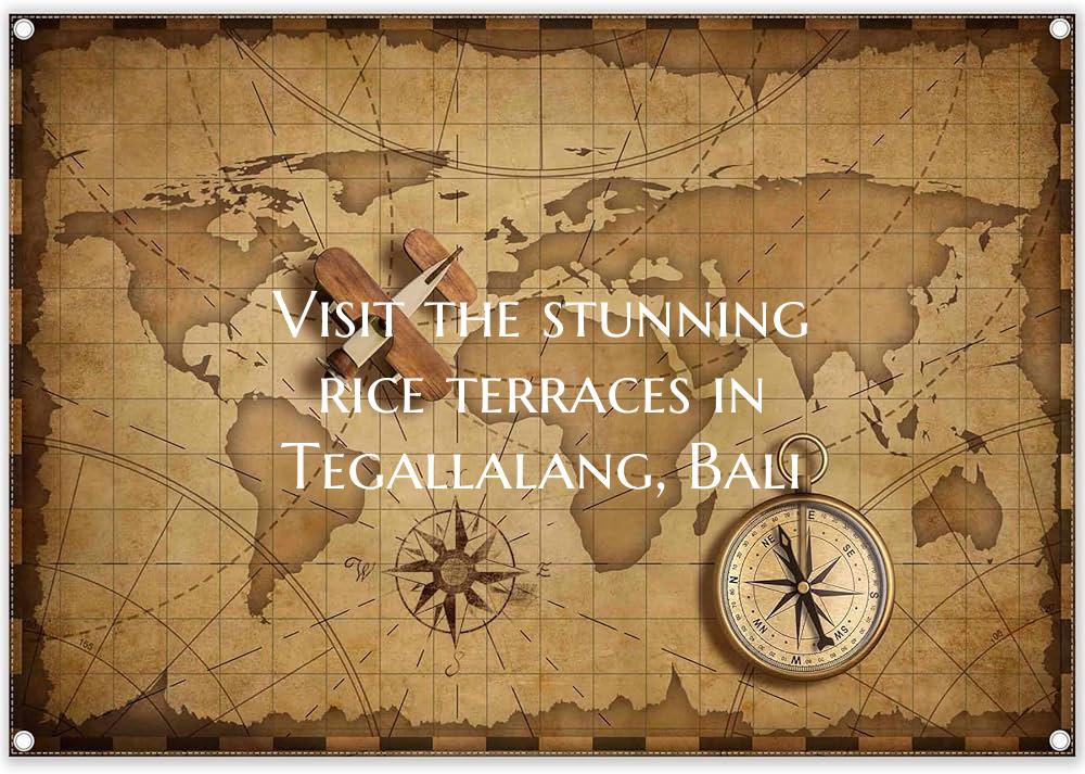 Visit the stunning rice terraces in Tegallalang, B...
