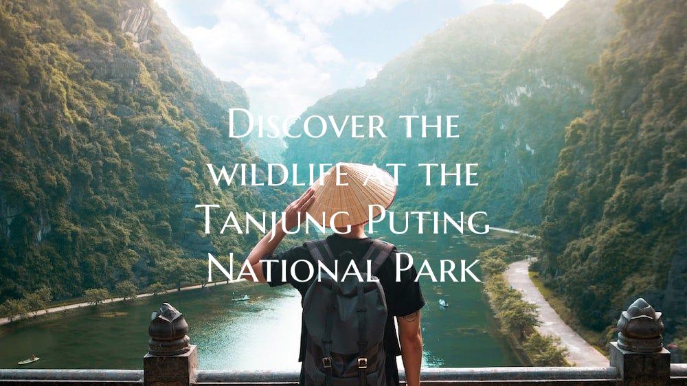 Discover the wildlife at the Tanjung Puting Nation...