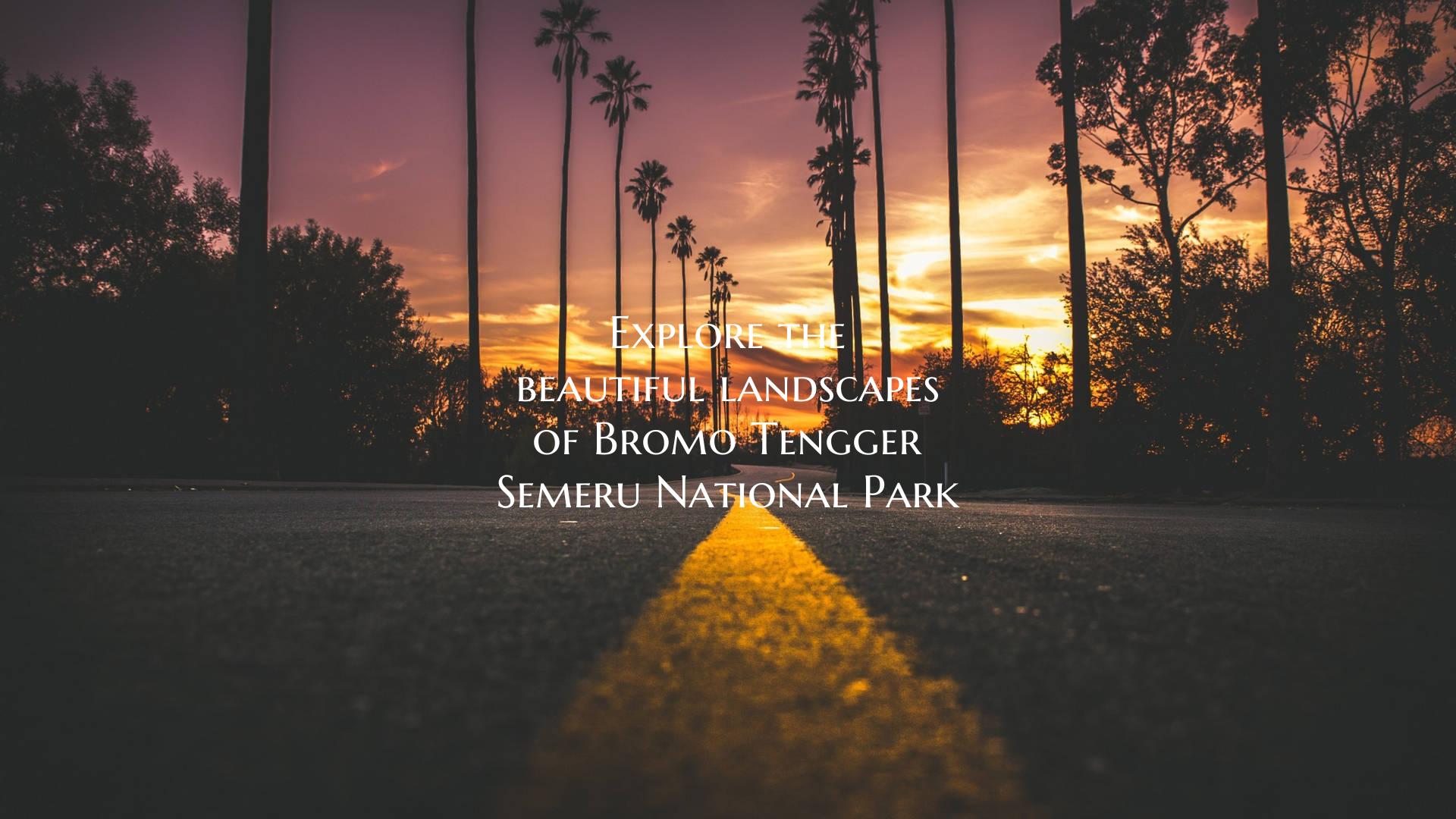 Explore the beautiful landscapes of Bromo Tengger ...