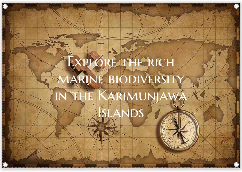 Explore the rich marine biodiversity in the Karimu...
