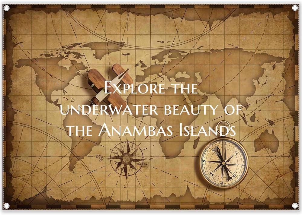 Explore the underwater beauty of the Anambas Islan...