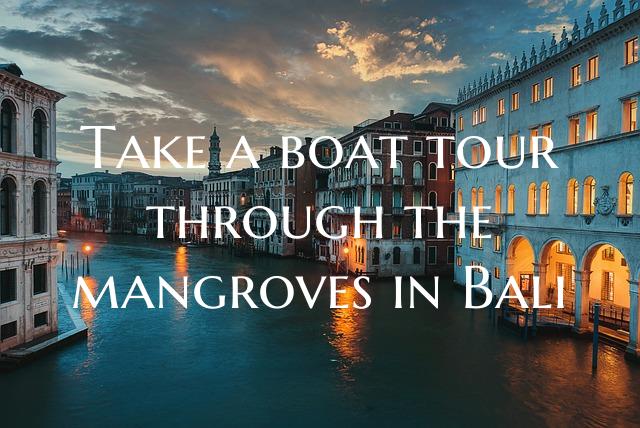 Take a boat tour through the mangroves in Bali